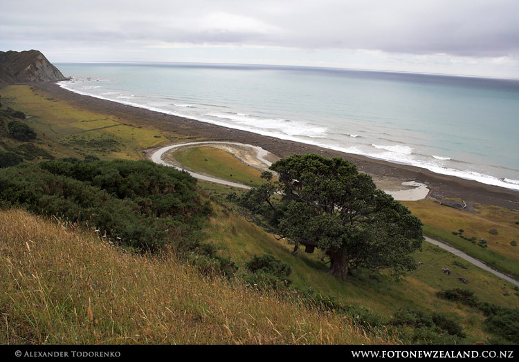 View from the hills, Rangitukia, New Zealand