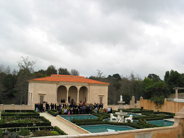 Wedding, Hamilton, New Zealand