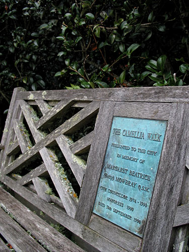 The camellia walk, Hamilton, New Zealand