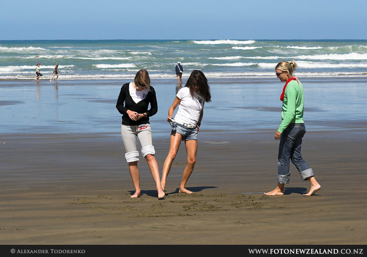 Fellow travellers on the beach, 90 Mile Beach, New Zealand