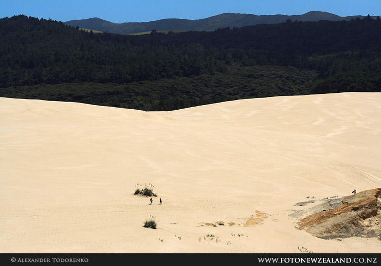 Giant Dunes. Tiny people, 90 Mile Beach, New Zealand
