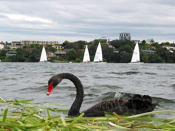 Auckland, New Zealand