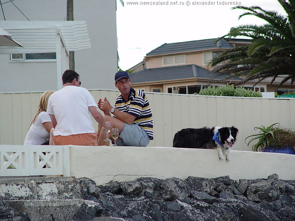 House on the beach, Milford Beach, Auckland, New Zealand
