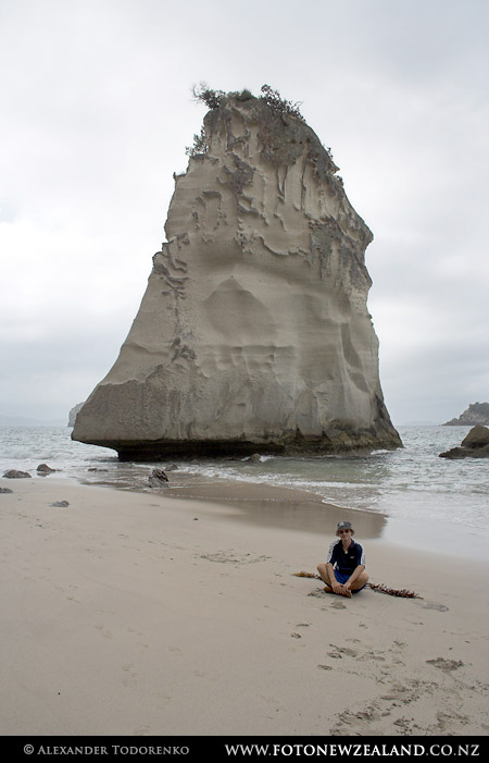 Coromandel, New Zealand