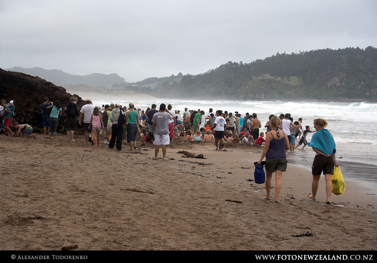 Hot Water Beach, New Zealand