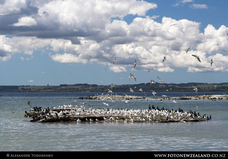 Lake Rotorua, Rotorua, New Zealand
