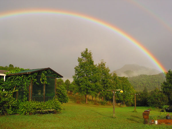 Rainbow in farmland, Coromandel, New Zealand