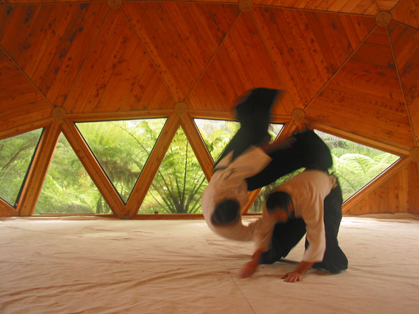 Two aikidokas practicing a throw, Coromandel, New Zealand