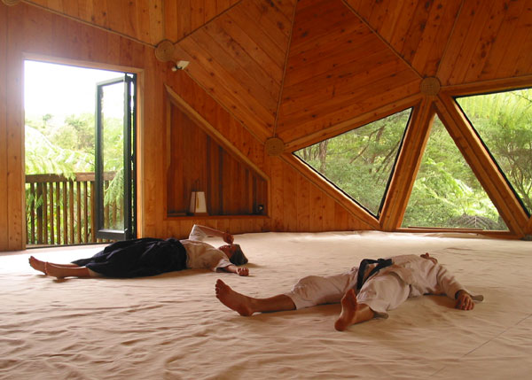 Aikodkas resting, Coromandel, New Zealand