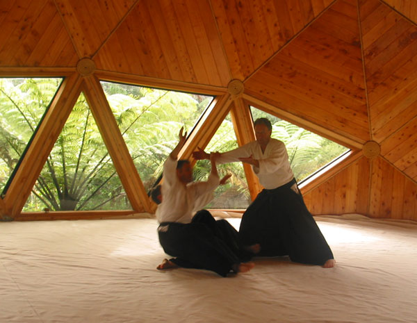 David Lynch Aikido demonstration, Coromandel, New Zealand