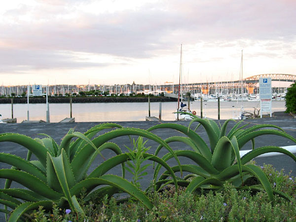 Auckland, New Zealand