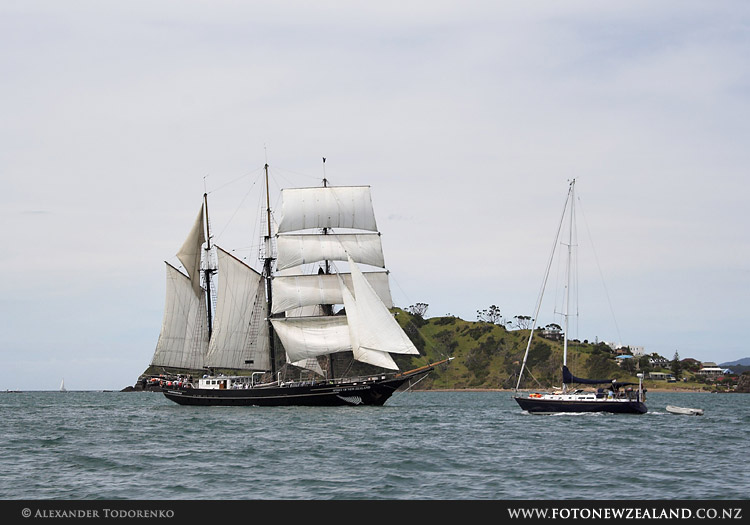 Spirit of New Zealand tall ship, Paihia, Bay of Islands, New Zealand