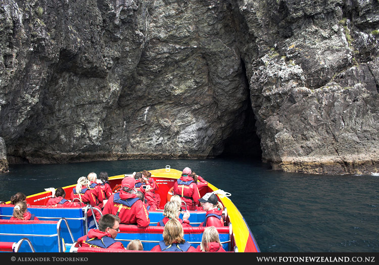 Cathedral Cave, Bay of Islands, New Zealand