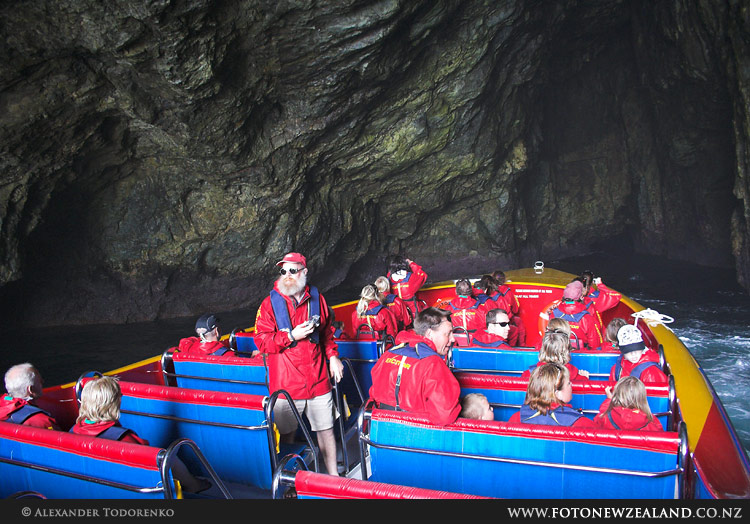 Inside Cathedral Cave, Bay of Islands, New Zealand