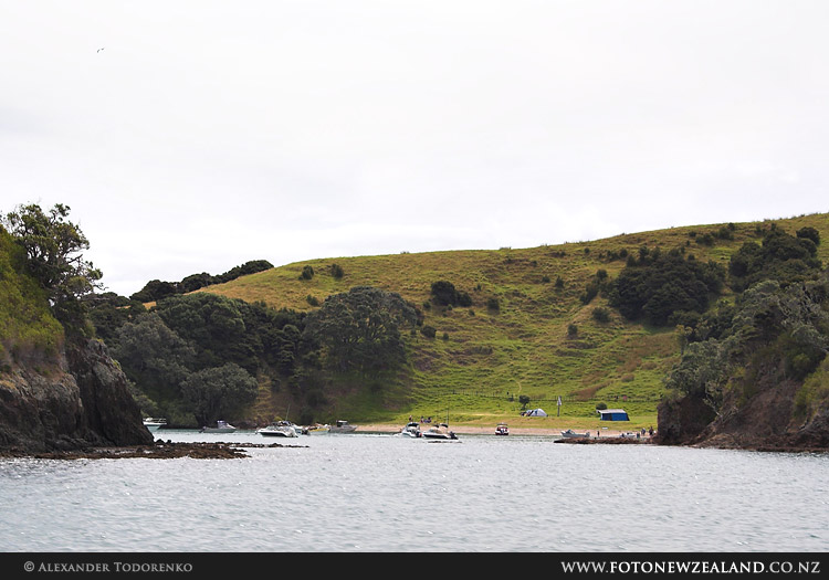 Urupukapuka Island, Bay of Islands, New Zealand