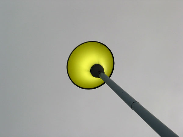 Yellow street light, Auckland, New Zealand