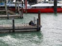 Girls having lunch at the wharf at Auckland's waterfront
