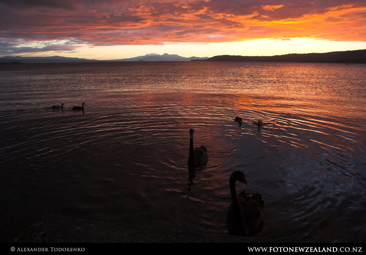 Sunset at Lake Taupo, Lake Taupo, New Zealand