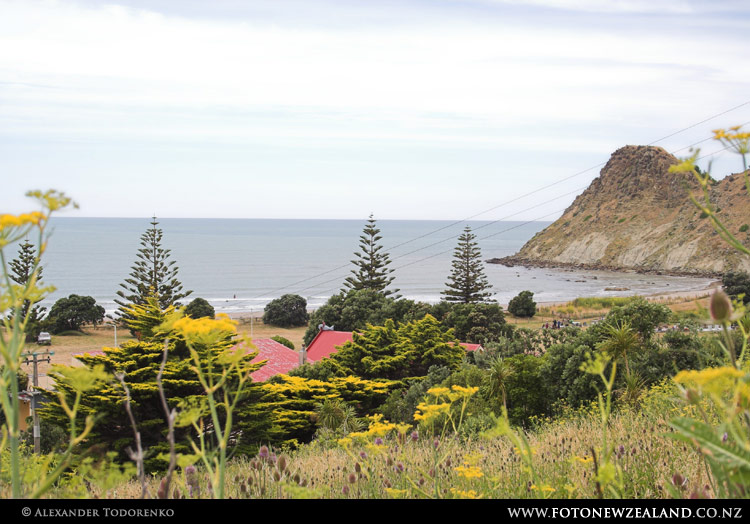 Whangara Whangara, East Coast, New Zealand