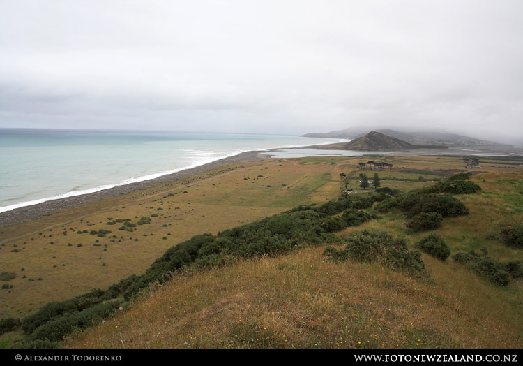 Farmland by the ocean, Rangitukia, New Zealand