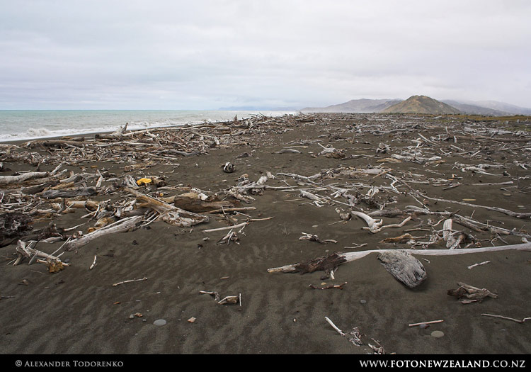 Firewood depository, Rangatukia, New Zealand