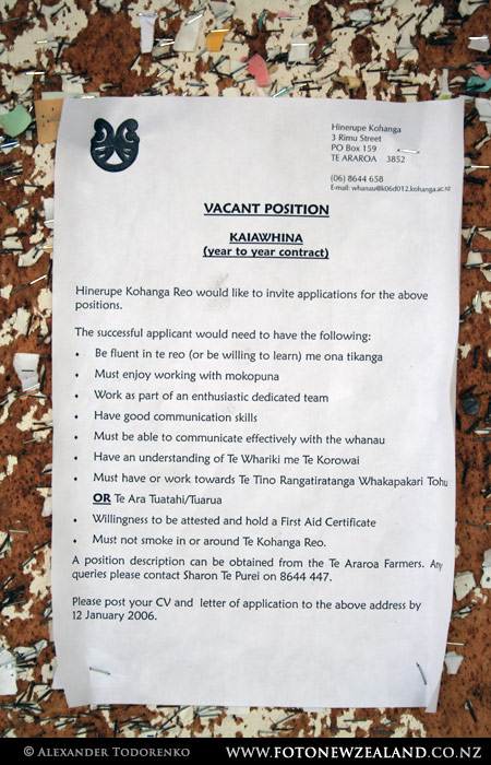 Vacant Position, Te Araroa, New Zealand
