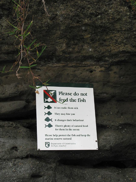 Auckland, New Zealand