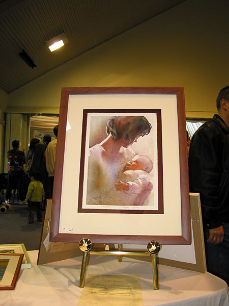 Hamilton, New Zealand