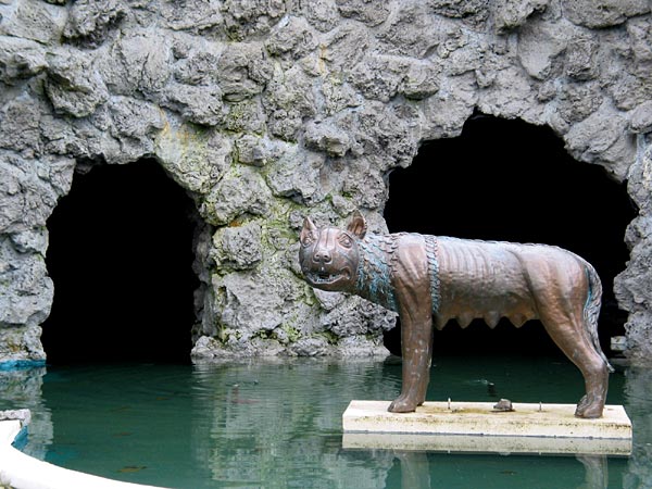 Rome wolf, Hamilton, New Zealand