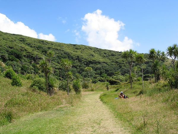 Karekare, Auckland, New Zealand