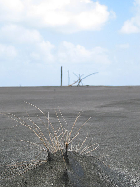 Karekare, Auckland, New Zealand