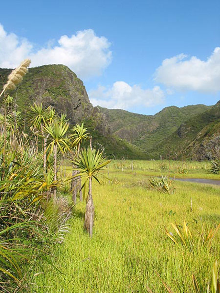 Karekare, Auckland, New Zealand