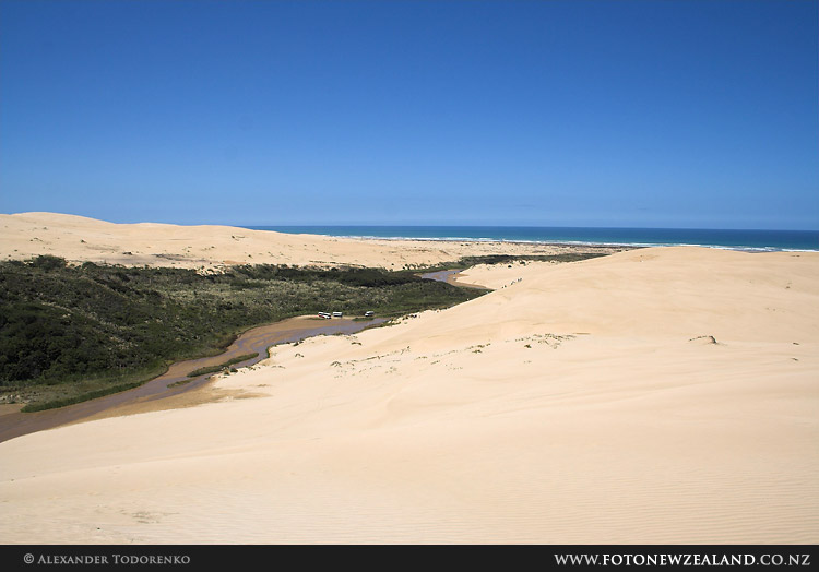 View from the summit of a sand dune, 90 Mile Beach, New Zealand
