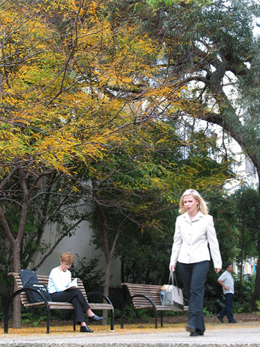 City in the morning, Auckland, New Zealand