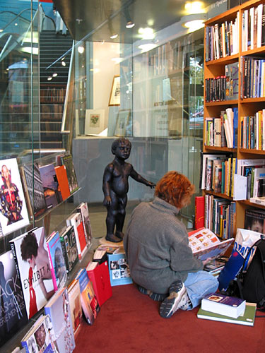 You are so fluffy, let me touch you..., Auckland, New Zealand