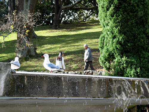 Albert Park, Auckland, New Zealand