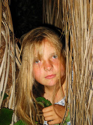 Eugenia, Auckland, New Zealand