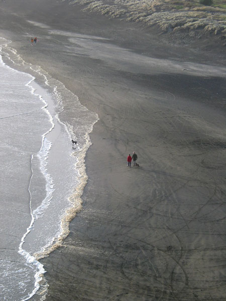 Piha Beach. View from Lion Rock, Auckland, New Zealand