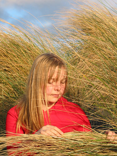 In Muriwai dunes, Muriwai Beach, Auckland, New Zealand