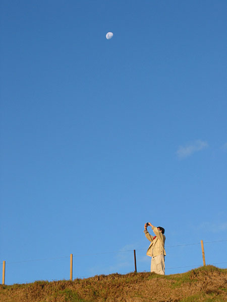 Lunatic, Muriwai Beach, Auckland, New Zealand