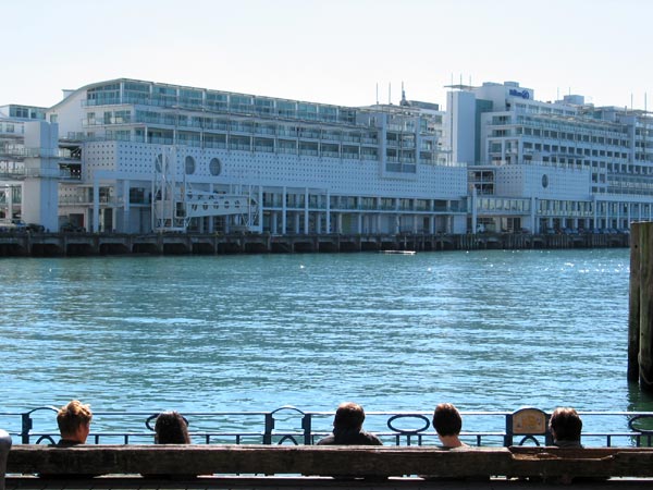 Spectators, Auckland, New Zealand