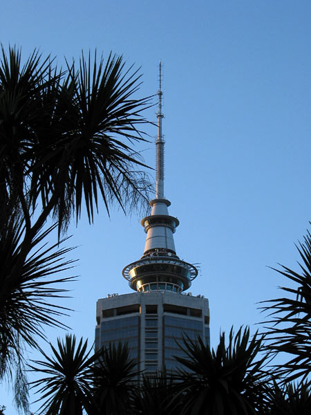 Sky Tower tropical, Aotea Square, Auckland, New Zealand