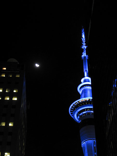 Spying Sky Tower, Auckland, New Zealand