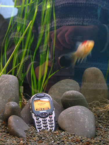 Vodafone promotion + partial self-portrait :), Microsoft Tech-Ed 2002, Auckland, New Zealand