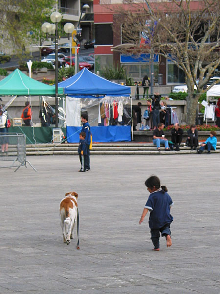 Fugitive, Aotea Sq, Auckland, New Zealand