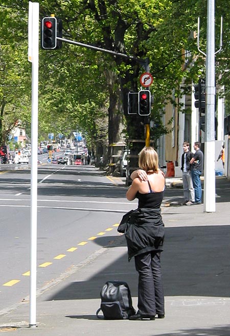 Warm embraces of Spring, Symonds St, Auckland, New Zealand