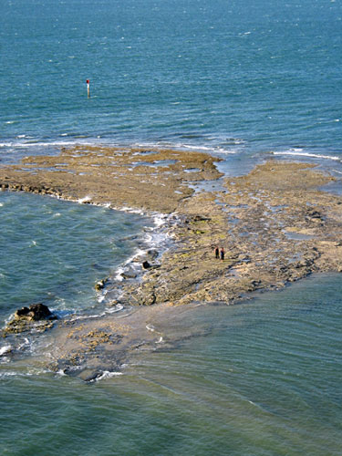 Shipwrecked, Ladies Bay, Auckland, New Zealand