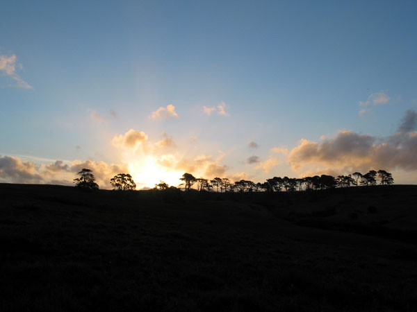 Sunset at Long  Bay beach, Auckland, New Zealand