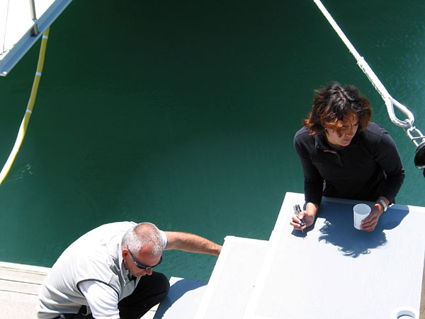 Near the green deep sea, America's Cup Village, Auckland, New Zealand