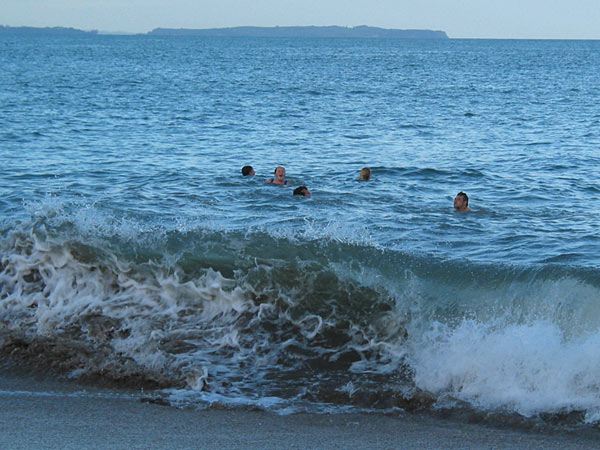 Summer is here, Thorne Bay, Auckland, New Zealand